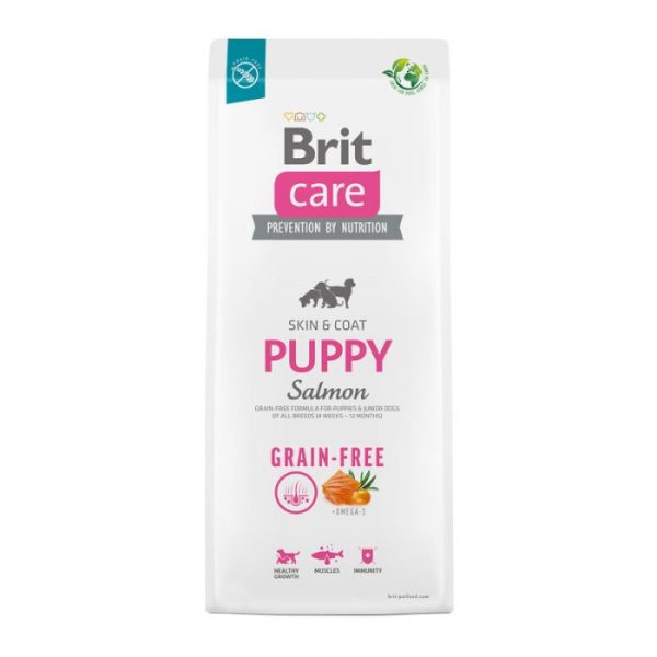 BRIT 3 KG PUPPY SALMON