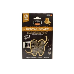 DENTAL POWER MASTICABLE 65 GM